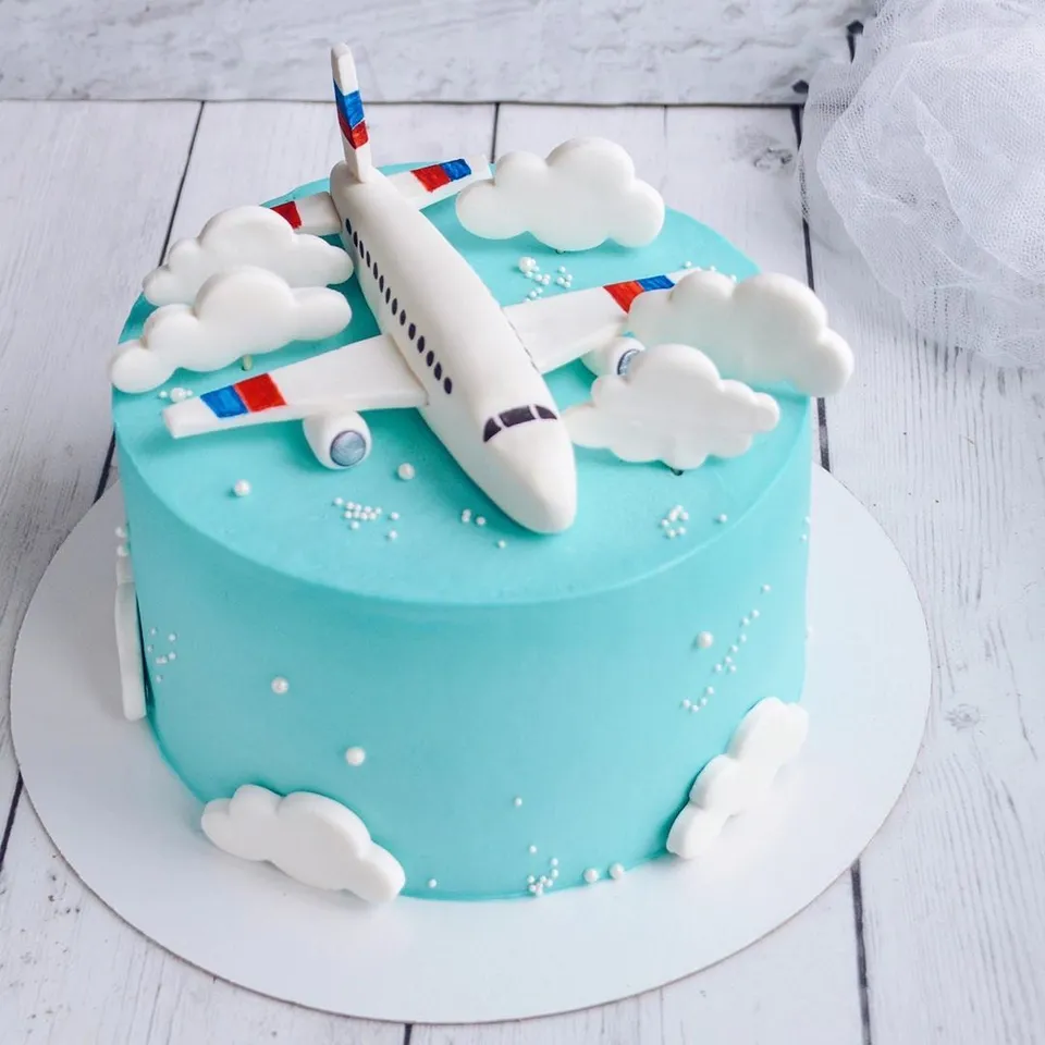 15- Airplane figured raw cakes! — photo inspiration