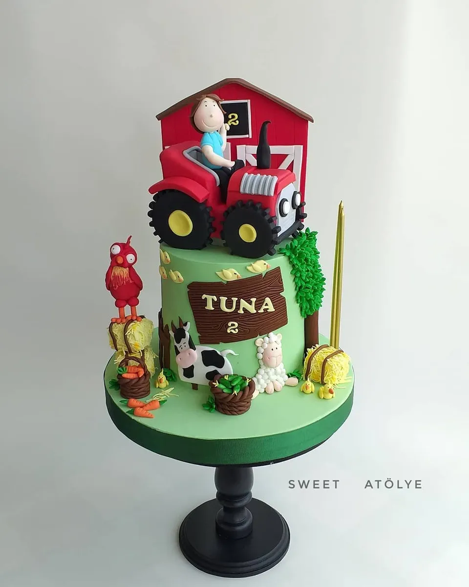 18- Make farmer accessory cakes! — photo inspiration