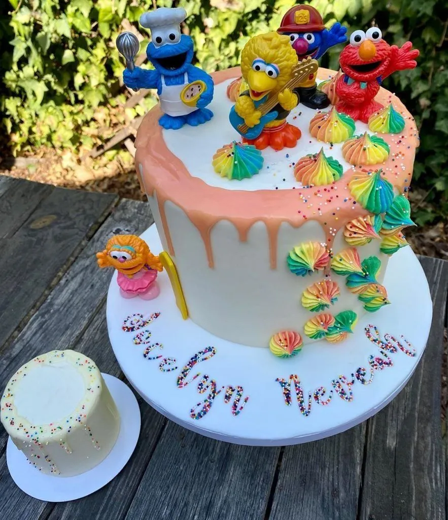 12. Sesame Street Cake — photo inspiration