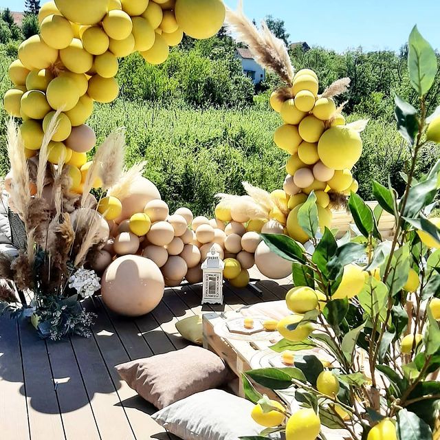 Lemon Birthday Party Lemon Birthday Party