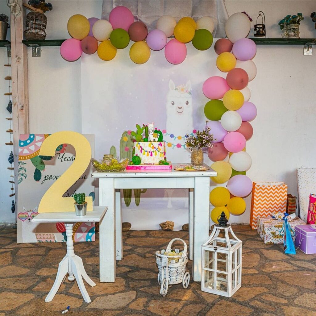 birthday party ideas for 2 year old